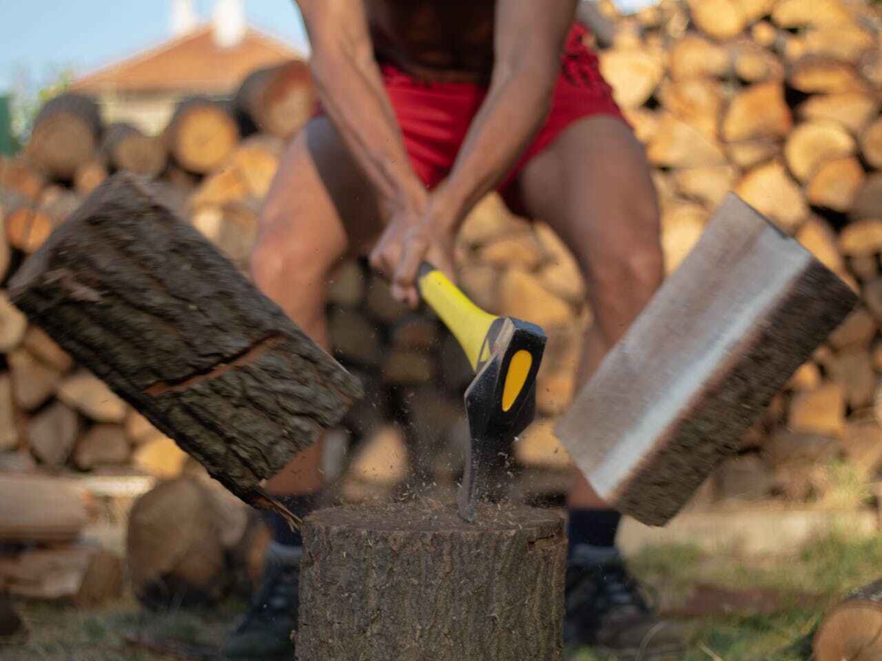 Best Palm Tree Trimming  in Washington Terrace, UT